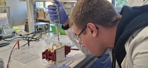 Elettroforesi su gel